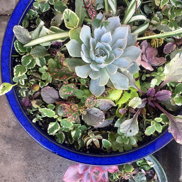 Country garden