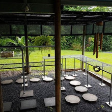 greenhouse
