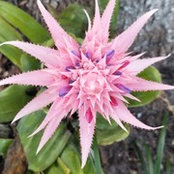 Jodi Bush's photo