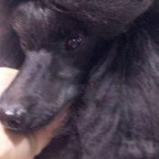 Cheri Argueta's photo