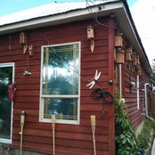 Foto von Christina Sather