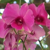 Cathy Francis's photo