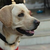 Ekta Jani Mehta's photo