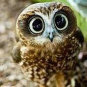Dorothy Blyth's photo