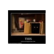 Richard Milon's photo