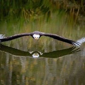 Peggy Newcomb's photo