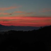 Paul Schroeder's photo