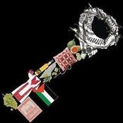 Nancy Kassas's photo