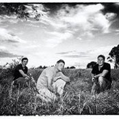 Megan Morris's photo