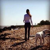Dallas Johnson's photo