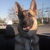 Terri Klay's photo