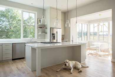 Inspiration for a modern light wood floor kitchen remodel in DC Metro with a farmhouse sink, flat-panel cabinets, gray cabinets, quartz countertops, stainless steel appliances and an island