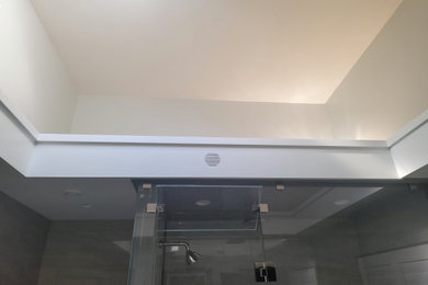 Master Bath Mt Kisco