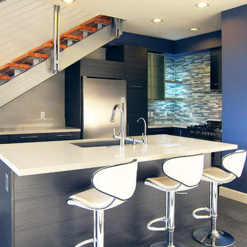 Encinitas Residence Modern Kitchen