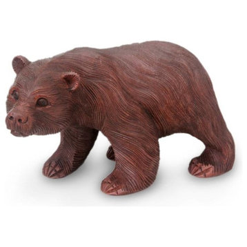 Curious Brown Bear Wood Sculpture