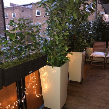 Compact Roof Terrace in Borough