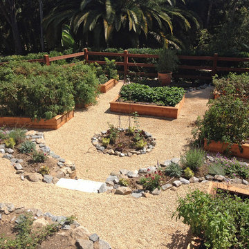 Vegetable Garden