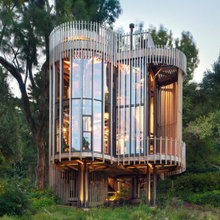 Tree house