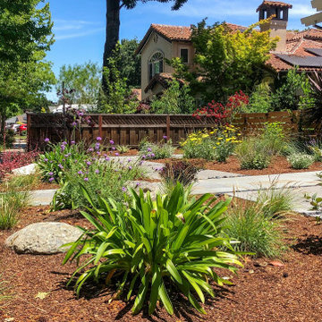 Low Water, Vibrant Full Yard Design