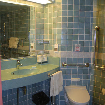 HANDICAP ACCESSIBILITY