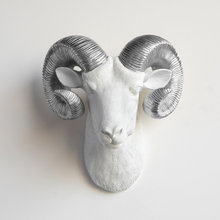 Wall Taxidermy