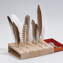 Peculiar Designs