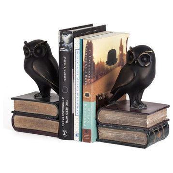 Danya B. 2-Piece Owl on Books Bookend Set
