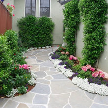 Flowering Plants Yard