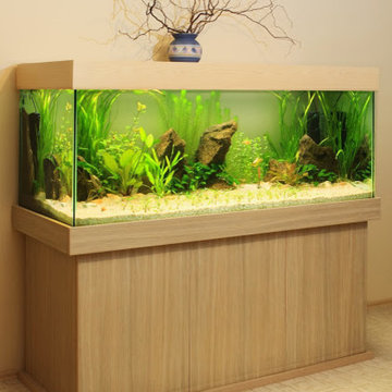 Stamford, CT Aquarium Repair and Maintenance
