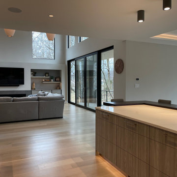 Interior Remodel - NOVA