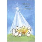 Phyllis Reynolds's photo