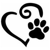 Tracey McDonald's photo