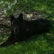 Foto von Christine Licata