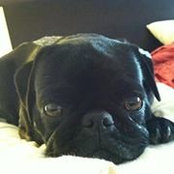 Lily Keeffe's photo