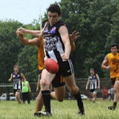 Paul Guarino's photo
