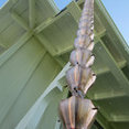 Rain Gutter Pros Inc's profile photo