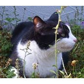 Erin Marchese's photo