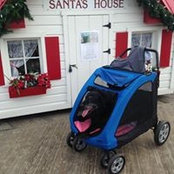 Robbie Monkman's photo