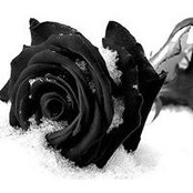 Oxana Larina's photo