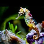 Jessica Watson's photo