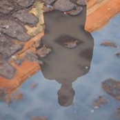 Sean De Simone's photo