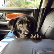 Vladimir Odarchenkos foto