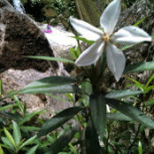 Katie Bergbauer's photo