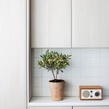 mcm kitchen