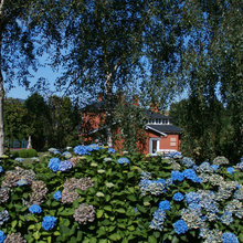 Un jardín espectacular en Asturias con 600 especies de plantas