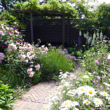 garden ideas