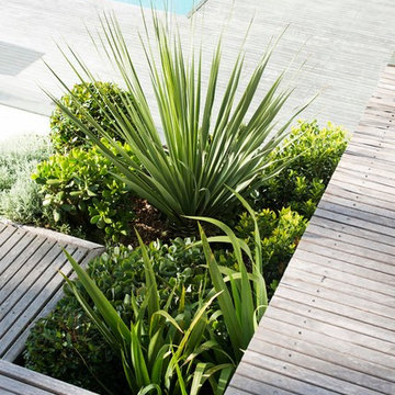Garden design: Inner City
