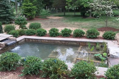 Inspiration for a landscaping in Philadelphia.