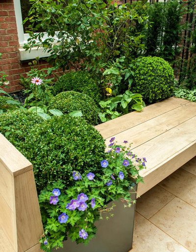 Современный Терраса by Aralia: Innovation in Landscape Design