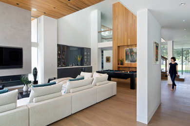 Minimalist family room photo in San Francisco